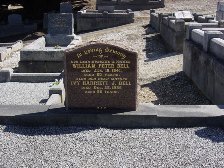Full-size image