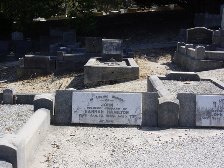 Full-size image