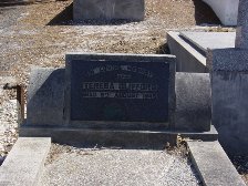 Full-size image