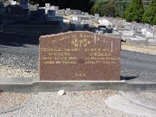 Full-size image