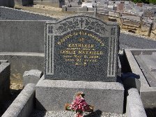 Full-size image