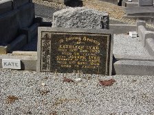 Full-size image
