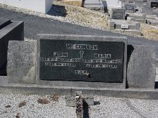 Full-size image