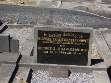 Full-size image
