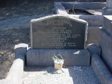 Full-size image