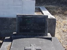 Full-size image