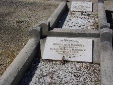 Full-size image