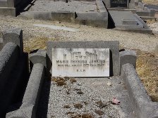 Full-size image