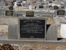 Full-size image