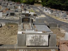 Full-size image