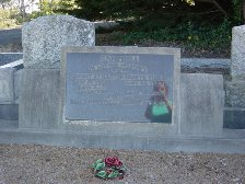Full-size image