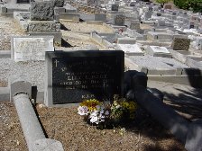 Full-size image