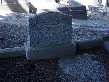 Full-size image