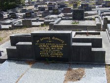 Full-size image