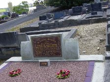 Full-size image