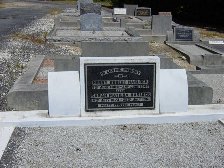 Full-size image