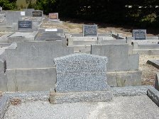 Full-size image