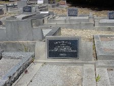 Full-size image