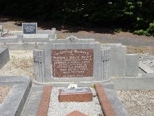Full-size image