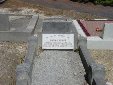 Full-size image
