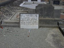Full-size image