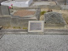Full-size image