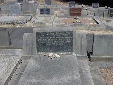 Full-size image