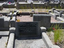 Full-size image