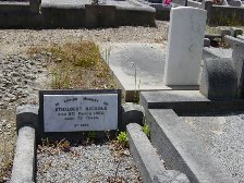 Full-size image