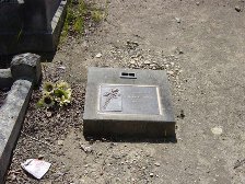 Full-size image