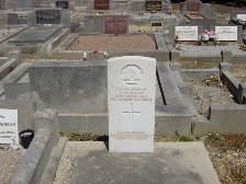 Full-size image