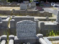 Full-size image