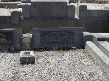 Full-size image