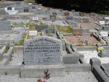 Full-size image