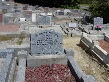 Full-size image