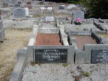 Full-size image