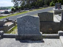 Full-size image