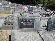 Full-size image