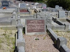 Full-size image