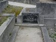 Full-size image