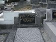 Full-size image