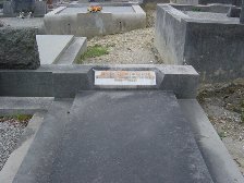 Full-size image