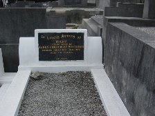Full-size image