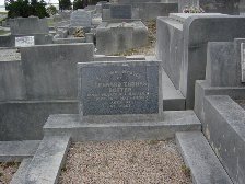 Full-size image
