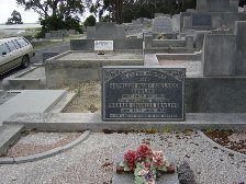 Full-size image