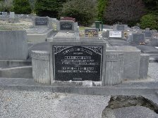 Full-size image
