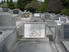 Full-size image