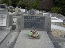 Full-size image