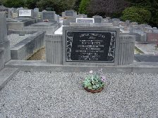 Full-size image
