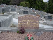 Full-size image
